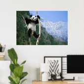 Panda in een poster (Thuiskantoor)