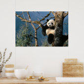 Panda in een poster 3 (Keuken)