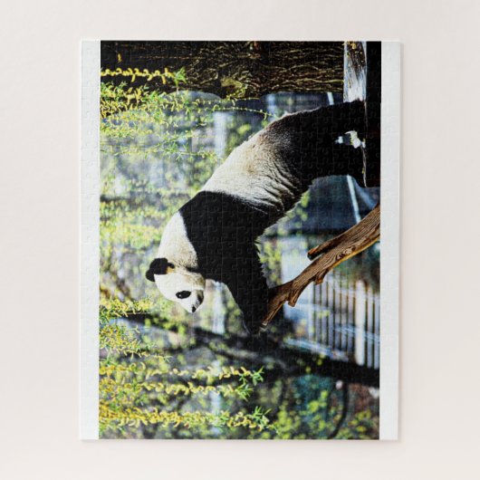 Panda Jigsaw Puzzle (Vertical)