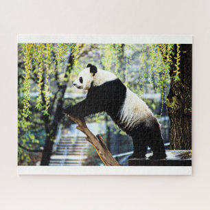 Panda Jigzaag Puzzle Legpuzzel