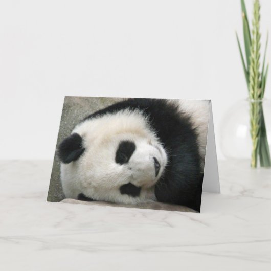 Panda Kaart (Voorkant)