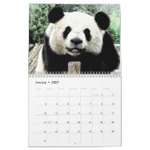 Panda Kalender (Jan 2027)