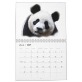 Panda Kalender (Mar 2027)