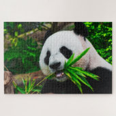 Panda kauwt op bamboe legpuzzel (Horizontaal)