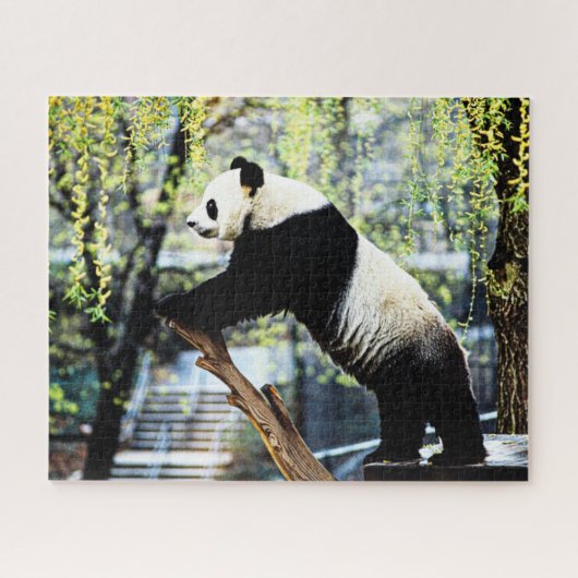 Panda Legpuzzel (Horizontaal)