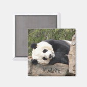 Panda Magnet (Recto/Verso)