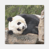 Panda Magnet (Devant)