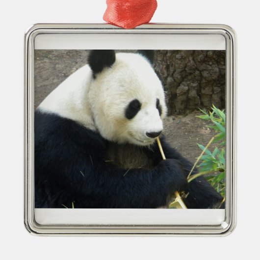 Panda Metalen Ornament (Voorkant)