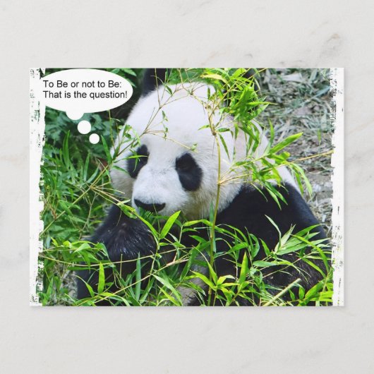 Panda Modern Pop Art Quote Sjabloon Trendy Briefkaart (Voorkant)