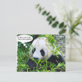 Panda Modern Quote Animal Sjabloon Trendy Briefkaart (Staand voorkant)