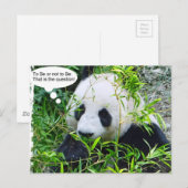 Panda Modern Quote Animal Sjabloon Trendy Briefkaart (Voorkant / Achterkant)