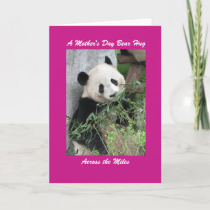 Panda Moederdag Beer Hug over de melkroze Kaart