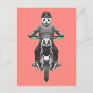 Panda Motorcyle Rider Briefkaart