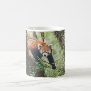 Panda Mug