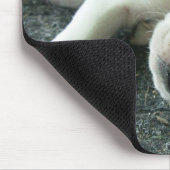 panda muismat (Hoek)
