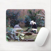 Panda Muismat (Met muis)