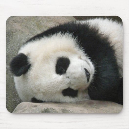 Panda Muismat (Voorkant)
