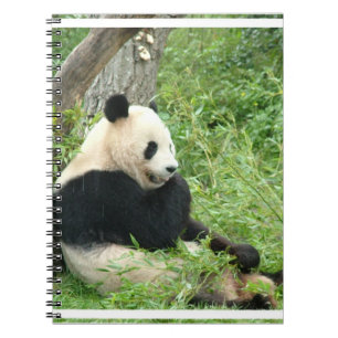 Panda Notitieboek