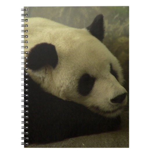 Panda Notitieboek (Voorkant)