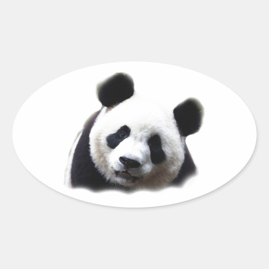 Panda Ovale Sticker (Voorkant)