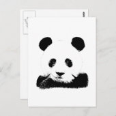 Panda Peeks uit Briefkaart (Voorkant / Achterkant)