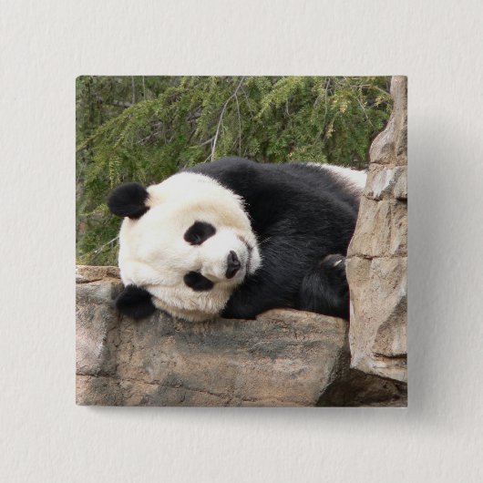 Panda Pin Vierkante Button 5,1 Cm (Voorkant)