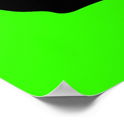 panda plush . poster (Hoek)