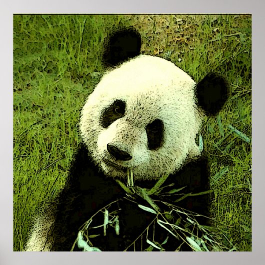 Panda-Poster - Panda-Posters Prints (Voorkant)