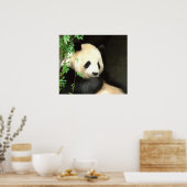 Panda Poster voor schilderen (Keuken)