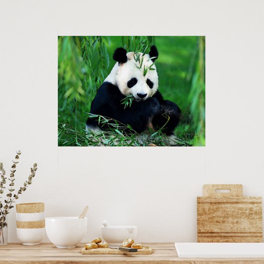 Panda Posters Prints - Panda Eating Leaves Poster (Keuken)