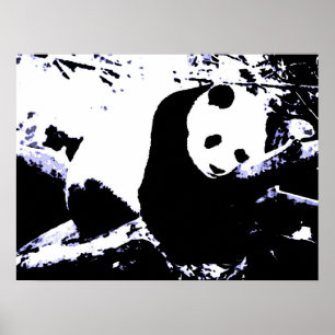 Panda Posters Prints - Panda Slaapend Poster