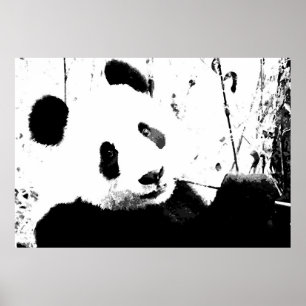 Panda-Posters - Zwart-wit Panda-gezicht Poster
