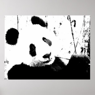 Panda-Posters - Zwart-wit Panda-gezicht Poster