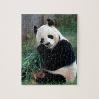 Panda Puzzle Legpuzzel
