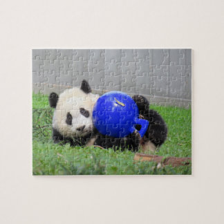 Panda puzzle - Xiao Qi ji, de mirakelkub Legpuzzel