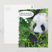 Panda Quote Animal Sjabloon Trendy Modern Briefkaart (Voorkant / Achterkant)
