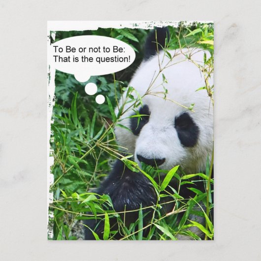 Panda Quote Animal Sjabloon Trendy Modern Briefkaart (Voorkant)