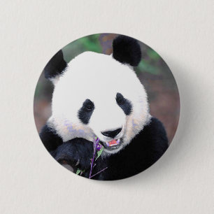 Panda Ronde Button 5,7 Cm
