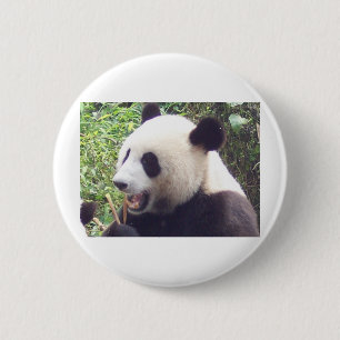 Panda Ronde Button 5,7 Cm