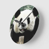 Panda Ronde Klok (Hoek)