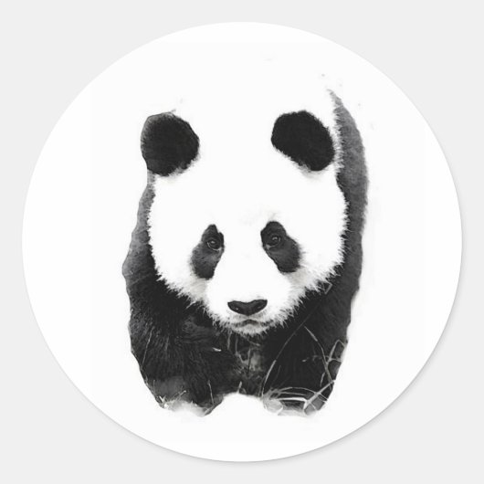 Panda Ronde Sticker (Voorkant)