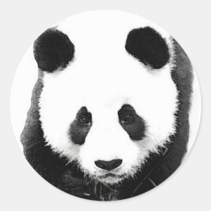 Panda Ronde Sticker