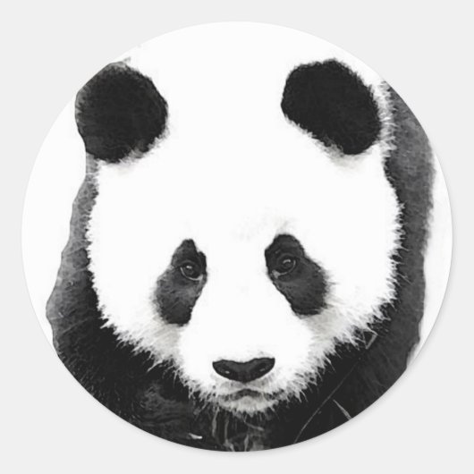 Panda Ronde Sticker (Voorkant)