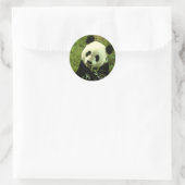 Panda Ronde Sticker (Tas)
