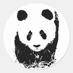 Panda Ronde Sticker