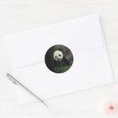 Panda Ronde Sticker (Envelop)