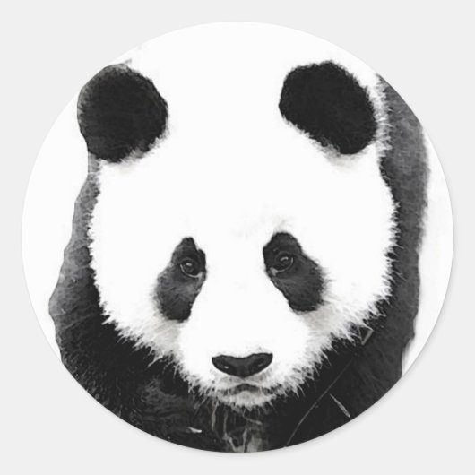 Panda Ronde Sticker (Voorkant)