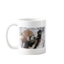 panda - rooddier is schattig