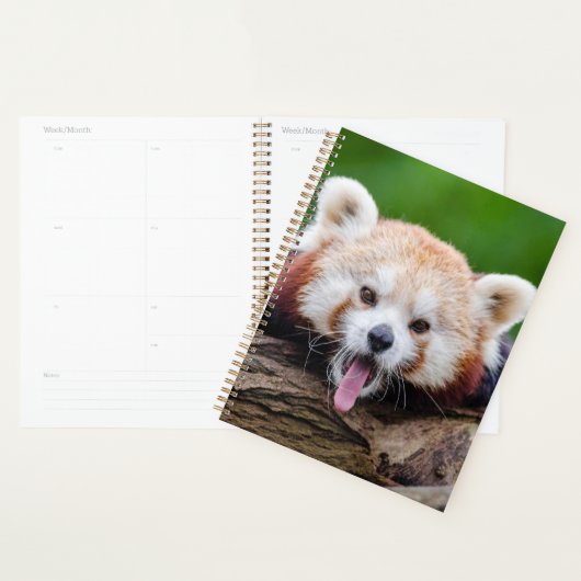 Panda rouge (Devant avec enveloppe)