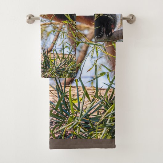 Panda rouge (En situation)